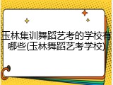 玉林集训舞蹈艺考的学校有哪些(玉林舞蹈艺考学校)