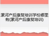 漯河产后康复培训学校哪里有(漯河产后康复培训)
