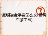 昆明冶金学费怎么交(昆明冶缴学费)