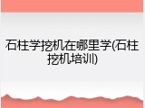 石柱学挖机在哪里学(石柱挖机培训)