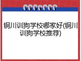 铜川训狗学校哪家好(铜川训狗学校推荐)