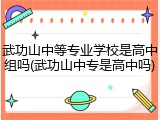武功山中等专业学校是高中组吗(武功山中专是高中吗)