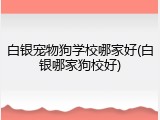 白银宠物狗学校哪家好(白银哪家狗校好)
