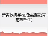 新青挖机学校招生简章(青挖机招生)