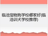 临沧宠物狗学校哪家好(临沧训犬学校推荐)