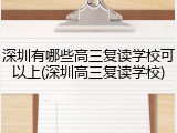 深圳有哪些高三复读学校可以上(深圳高三复读学校)