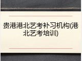 贵港港北艺考补习机构(港北艺考培训)