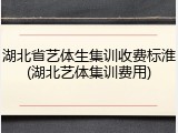 湖北省艺体生集训收费标淮(湖北艺体集训费用)