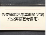 兴安舞蹈艺考集训多少钱(兴安舞蹈艺考费用)