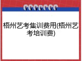 梧州艺考集训费用(梧州艺考培训费)