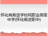 怀化有叛逆学校吗职业高级中学(怀化叛逆职中)