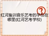 红河集训音乐艺考的学校在哪里(红河艺考学校)