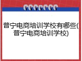 普宁电商培训学校有哪些(普宁电商培训学校)