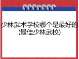 少林武术学校哪个是最好的(最佳少林武校)