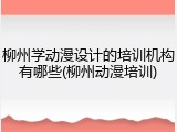 柳州学动漫设计的培训机构有哪些(柳州动漫培训)