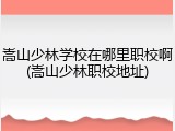 嵩山少林学校在哪里职校啊(嵩山少林职校地址)