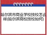 哈尔滨市商业学校技校怎么样(哈尔滨商校技校如何)