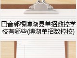 巴音郭楞博湖县单招数控学校有哪些(博湖单招数控校)