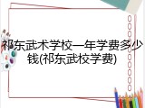 祁东武术学校一年学费多少钱(祁东武校学费)