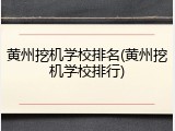 黄州挖机学校排名(黄州挖机学校排行)