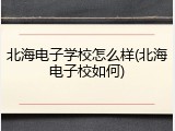 北海电子学校怎么样(北海电子校如何)
