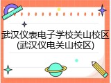 武汉仪表电子学校关山校区(武汉仪电关山校区)