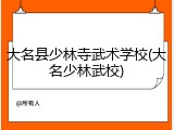 大名县少林寺武术学校(大名少林武校)