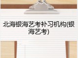 北海银海艺考补习机构(银海艺考)