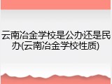 云南冶金学校是公办还是民办(云南冶金学校性质)