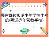 哪有管教叛逆少年学校中专的(叛逆少年管教学校)