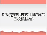 岱岳挖掘机技校上哪找(岱岳挖机技校)