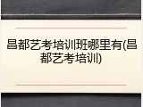 昌都艺考培训班哪里有(昌都艺考培训)