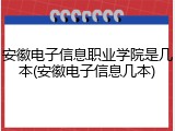 安徽电子信息职业学院是几本(安徽电子信息几本)
