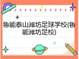 鲁能泰山潍坊足球学校(鲁能潍坊足校)