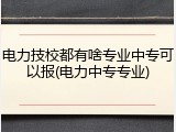 电力技校都有啥专业中专可以报(电力中专专业)