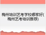 梅州培训艺考学校哪家好(梅州艺考培训推荐)