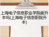 上海电子信息职业学院能升本吗(上海电子信息职院升本)