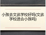 小孩去文武学校好吗(文武学校适合小孩吗)