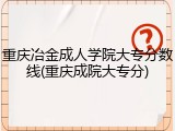 重庆冶金成人学院大专分数线(重庆成院大专分)
