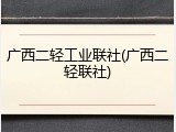 广西二轻工业联社(广西二轻联社)