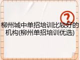 柳州城中单招培训比较好的机构(柳州单招培训优选)
