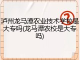 泸州龙马潭农业技术学校是大专吗(龙马潭农校是大专吗)