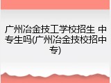 广州冶金技工学校招生 中专生吗(广州冶金技校招中专)