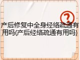 产后修复中全身经络疏通有用吗(产后经络疏通有用吗)