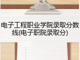 电子工程职业学院录取分数线(电子职院录取分)