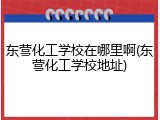 东营化工学校在哪里啊(东营化工学校地址)