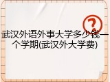 武汉外语外事大学多少钱一个学期(武汉外大学费)