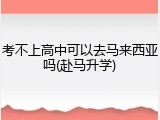 考不上高中可以去马来西亚吗(赴马升学)