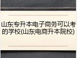 山东专升本电子商务可以考的学校(山东电商升本院校)