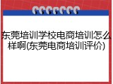 东莞培训学校电商培训怎么样啊(东莞电商培训评价)